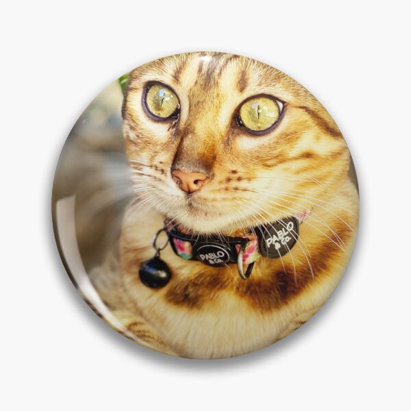 Item preview, Lady Ila-Rose Bengal designed and sold by KarenWillshaw.