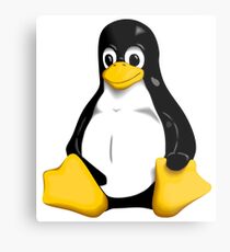 Linux Metal Print
