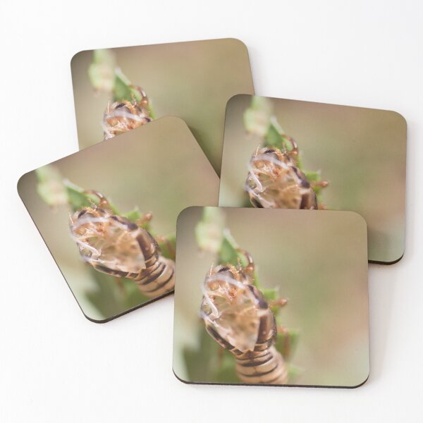 Item preview, Exhume designed and sold by KazzaKphotos.