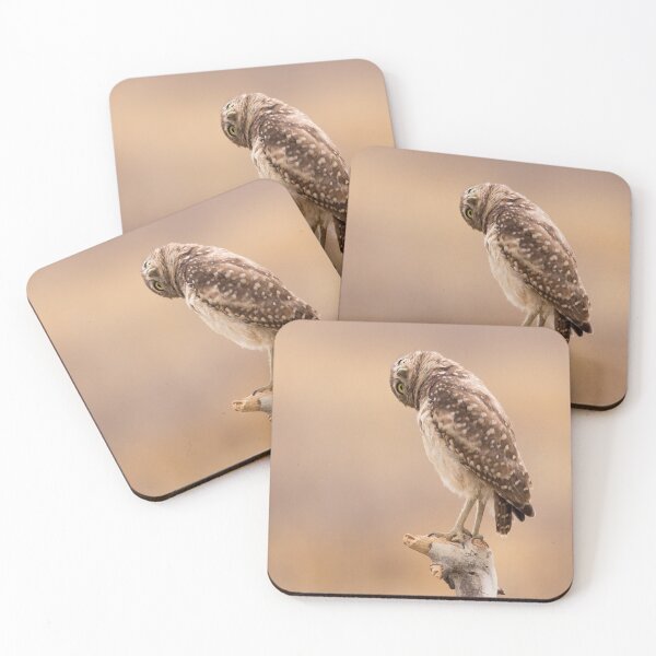 Item preview, Curious Burrowing Owl, What's Up? designed and sold by CarolM.