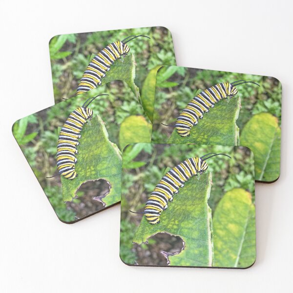 Item preview, Monarch Caterpillar designed and sold by Lynney.