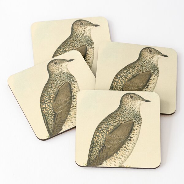 Item preview, Kittlitz's Murrelet Near Water designed and sold by laguitan10.