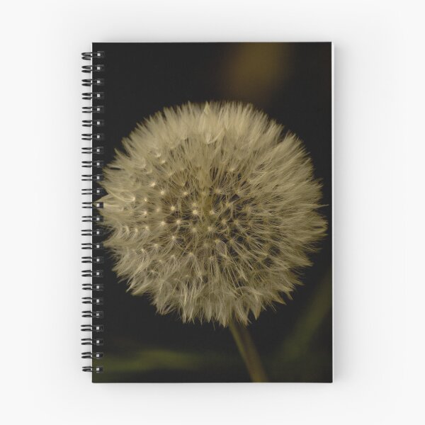Item preview, diente de león designed and sold by Yardley Pearson Photography.