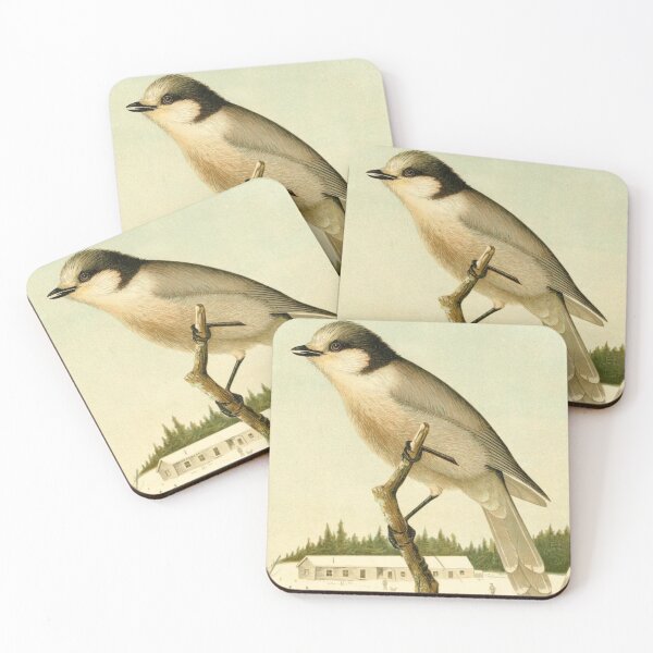 Item preview, Alaskan Jay On A Tree designed and sold by laguitan10.