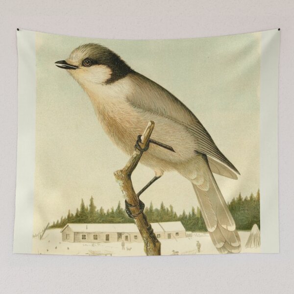Item preview, Alaskan Jay On A Tree designed and sold by laguitan10.