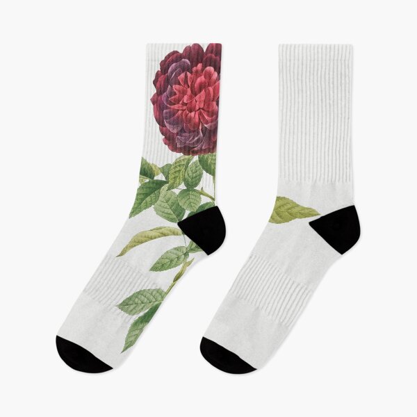 Item preview, Les Roses by Pierre-Joseph Redouté designed and sold by EsotericBotanic.