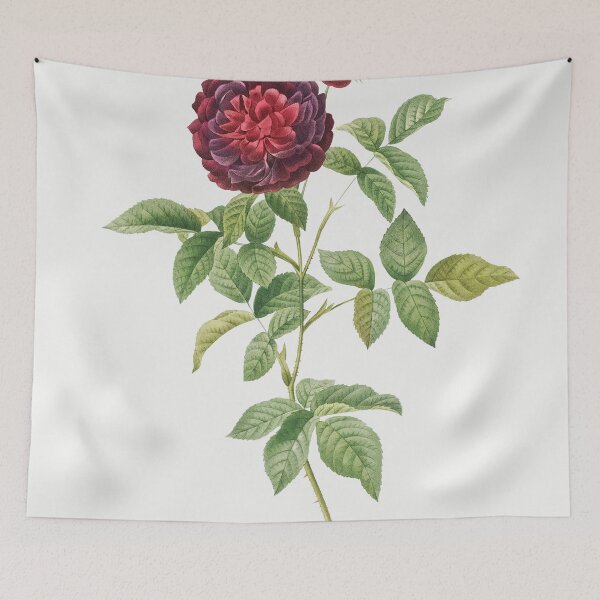 Item preview, Les Roses by Pierre-Joseph Redouté designed and sold by EsotericBotanic.