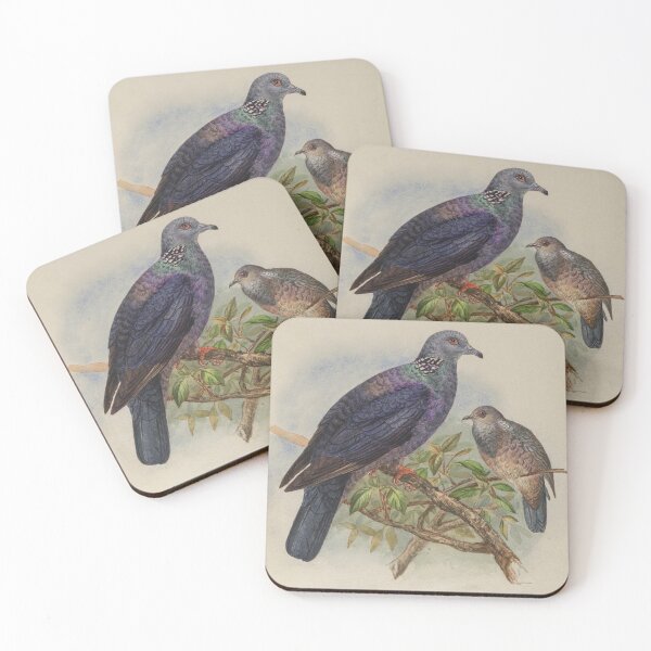 Item preview, Sri Lankan Wood Pigeon designed and sold by laguitan10.