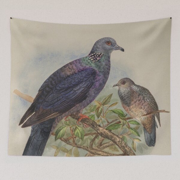 Item preview, Sri Lankan Wood Pigeon designed and sold by laguitan10.