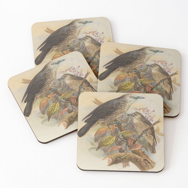Item preview, Two White Faced Starlings designed and sold by laguitan10.