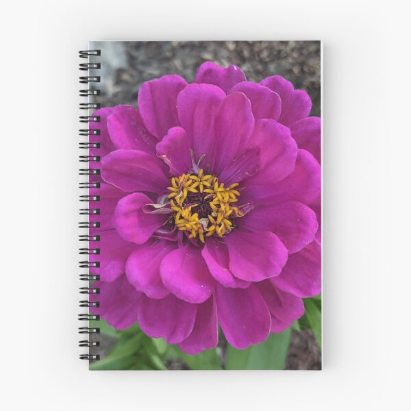 Item preview, Pink Ruffled Flower Photographic Image designed and sold by AustaArt.