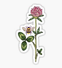 aromatic red clover Sticker