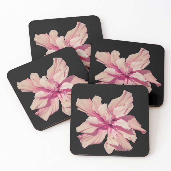 Aperçu de l'œuvre Hibiscus rose créée et vendue par NaturallyArt.