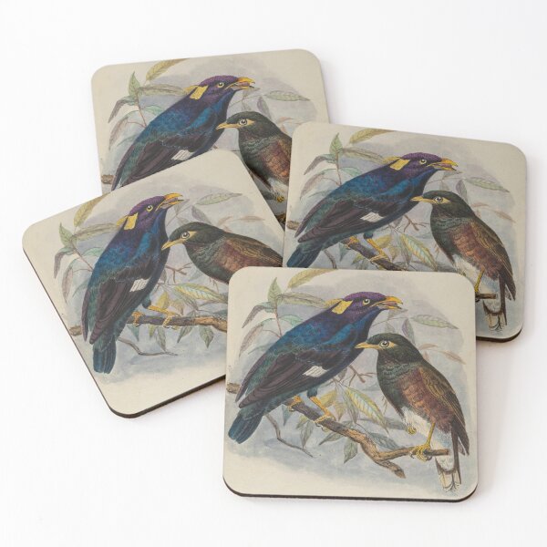 Item preview, Sri Lankan Hill Myna designed and sold by laguitan10.