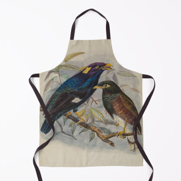 Item preview, Sri Lankan Hill Myna designed and sold by laguitan10.