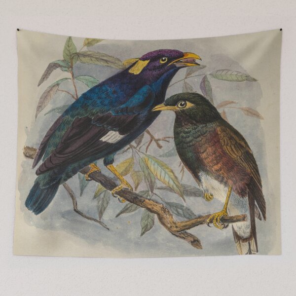 Item preview, Sri Lankan Hill Myna designed and sold by laguitan10.