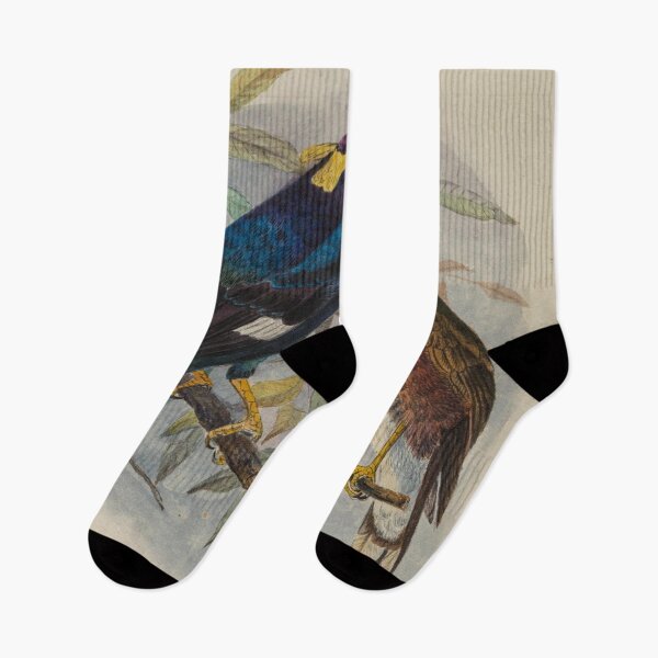 Item preview, Sri Lankan Hill Myna designed and sold by laguitan10.