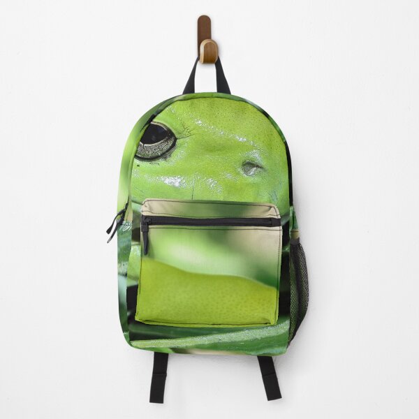 Item preview, Frog beauty 1201 designed and sold by kevin Chippindall.