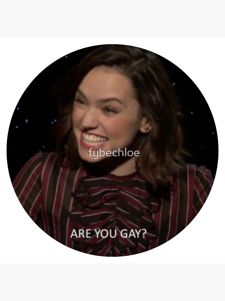 daisy ridley you are gay meme template