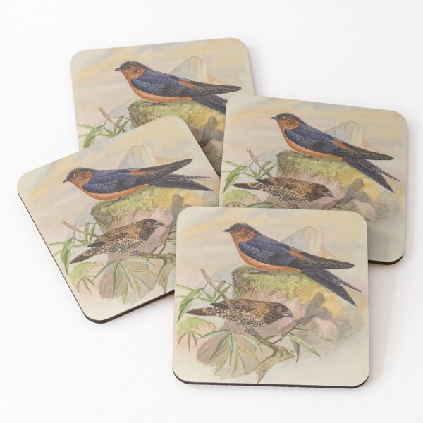Item preview, Sri Lankan Swallow And Munia designed and sold by laguitan10.