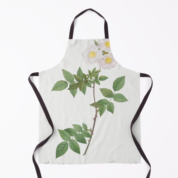 Item preview, Les Roses by Pierre-Joseph Redouté designed and sold by EsotericBotanic.