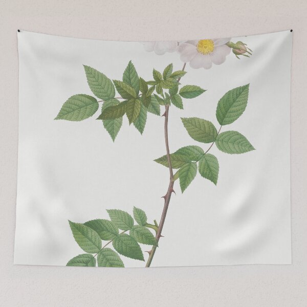 Item preview, Les Roses by Pierre-Joseph Redouté designed and sold by EsotericBotanic.