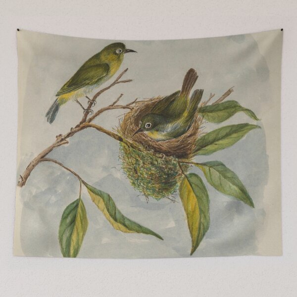 Item preview, Sri Lankan White Eye designed and sold by laguitan10.