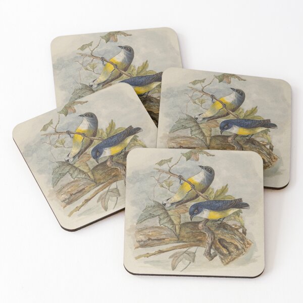 Item preview, Two White Throated Flowerpeckers designed and sold by laguitan10.