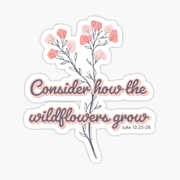Consider How The Wildflowers Grow - Bible Verse Christian Quote - Bible  Verse - Sticker