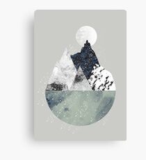 Winter Canvas Print