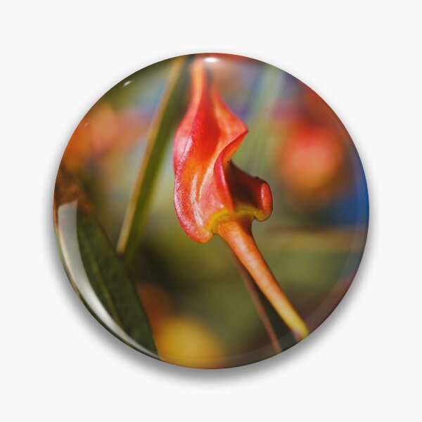 Item preview, Eucalyptus Forrestiana In Fruit  designed and sold by Joy Watson - Natural Light Photography .