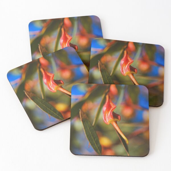Item preview, Eucalyptus Forrestiana In Fruit  designed and sold by Joy Watson - Natural Light Photography .