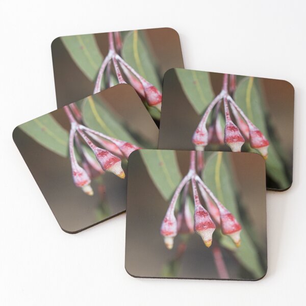 Item preview, Wildfire Eucalyptus Red Buds designed and sold by Joy Watson - Natural Light Photography .