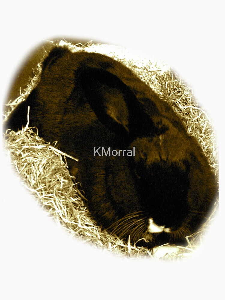 Smudge by KMorral