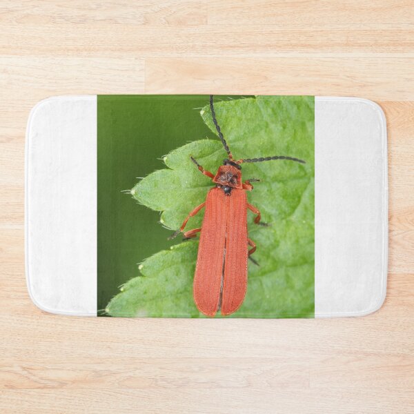 Item preview, Red net-winged beetle - Dictyoptera simplicipes designed and sold by SDym Photography.