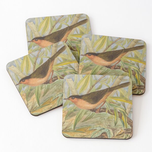 Item preview, The Sri Lankan Brown Capped Babbler  designed and sold by laguitan10.