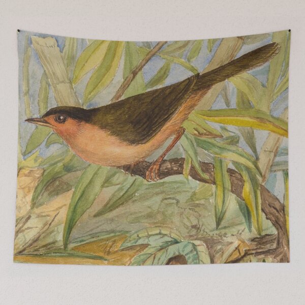 Item preview, The Sri Lankan Brown Capped Babbler  designed and sold by laguitan10.