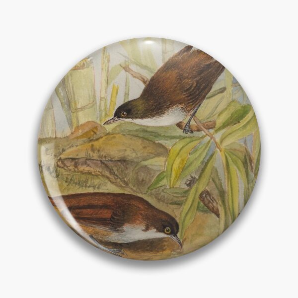Item preview, Sri Lankan Little Wren Babbler designed and sold by laguitan10.