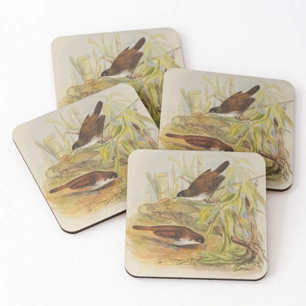 Item preview, Sri Lankan Little Wren Babbler designed and sold by laguitan10.