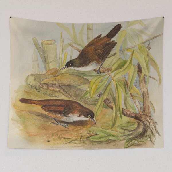 Item preview, Sri Lankan Little Wren Babbler designed and sold by laguitan10.