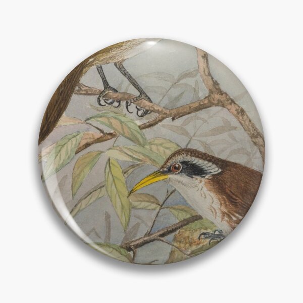 Item preview, Sri Lankan Scimitar Babbler designed and sold by laguitan10.