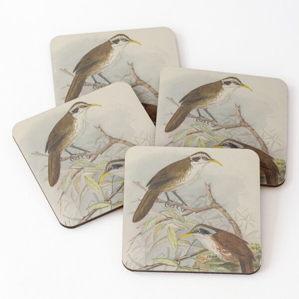 Item preview, Sri Lankan Scimitar Babbler designed and sold by laguitan10.