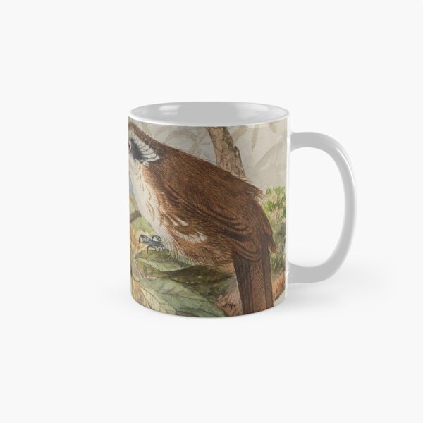 Item preview, Sri Lankan Scimitar Babbler designed and sold by laguitan10.