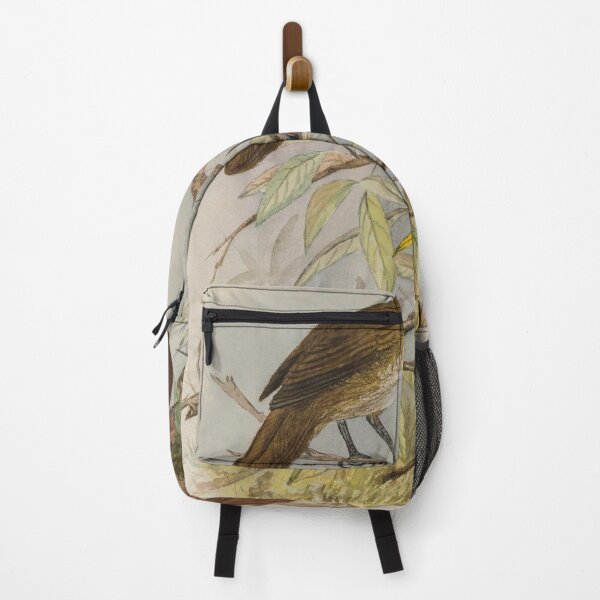 Item preview, Sri Lankan Scimitar Babbler designed and sold by laguitan10.