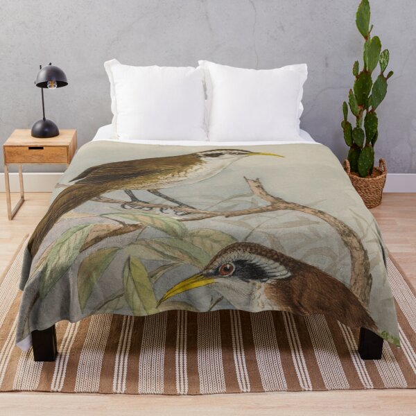 Item preview, Sri Lankan Scimitar Babbler designed and sold by laguitan10.