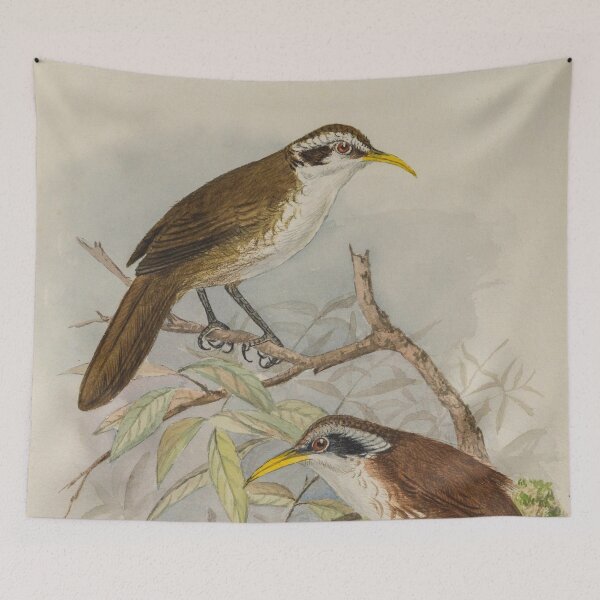 Item preview, Sri Lankan Scimitar Babbler designed and sold by laguitan10.
