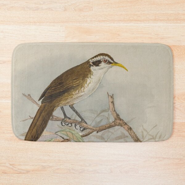 Item preview, Sri Lankan Scimitar Babbler designed and sold by laguitan10.