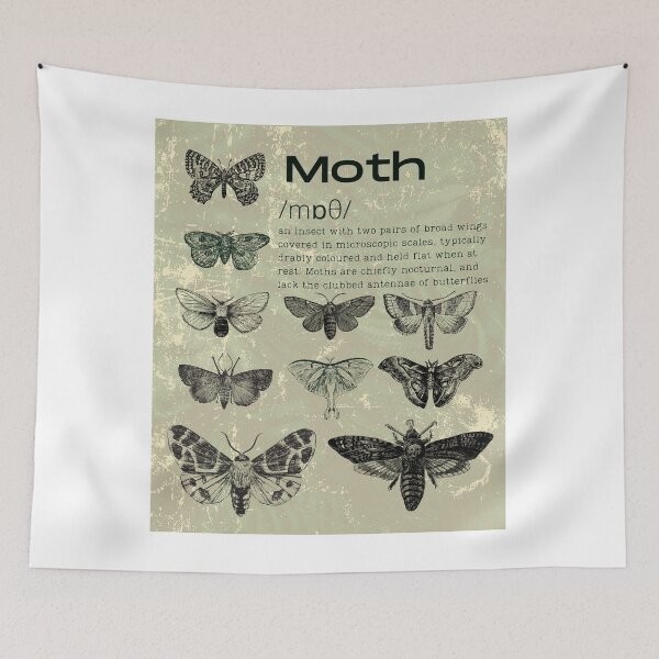 Item preview, Moth Definition designed and sold by dr-tars.