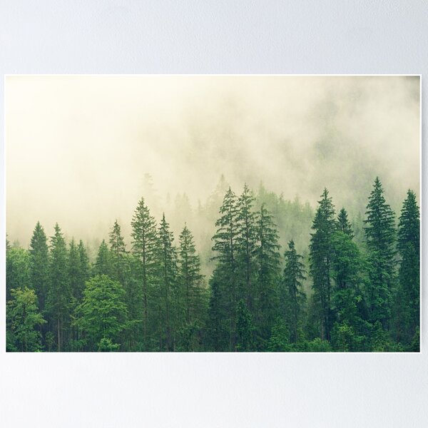 Item preview, conifer forests  designed and sold by vaish689.