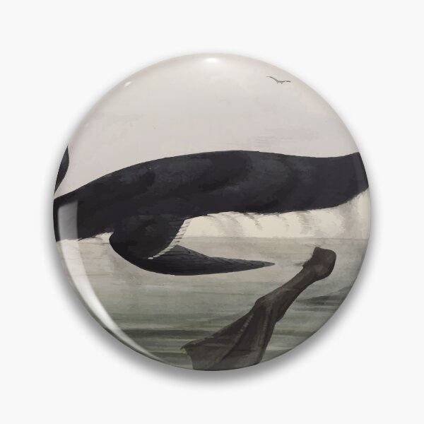 Item preview, John Gould The Birds of Europe 1837 V1 V5 400 Great Auk designed and sold by wetdryvac.